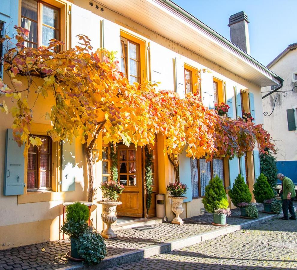 Apartament Le Cinquante Quatre Perroy Zewnętrze zdjęcie
